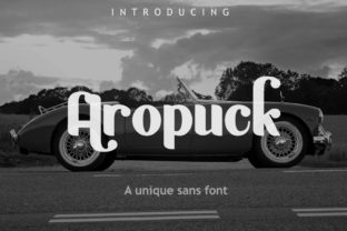 Aropuck Vintage Sans Serif Typeface for Handmade Branding