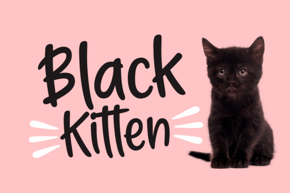 Black Kitten Typeface: A Modern Handwritten Font for Digital Branding