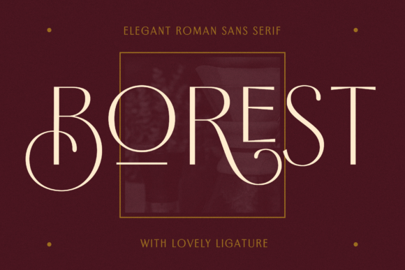 Borest Romantic Sans Serif Font for Editorial Design