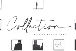 Collection Font Review: Elevating Handmade Brand Identity