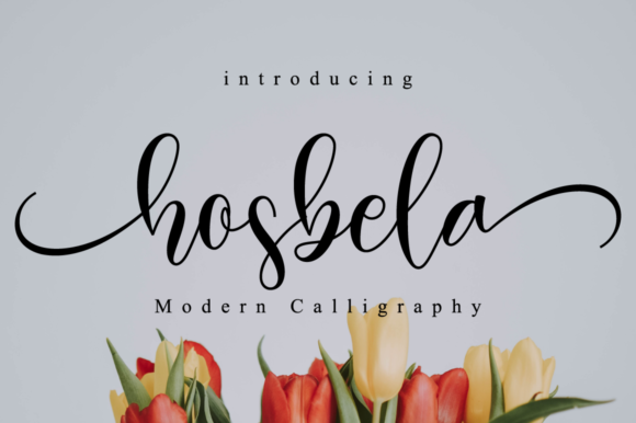 Hosbela Script: The Elegant Typeface for Polished Brand Identity