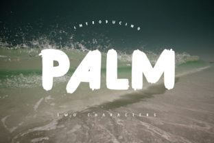 Palm Typeface: A Bold Hand-Brushed Sans Serif for Editorial Design