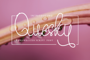 Quesky: The Handwritten Script Font for Polished Brand Identity